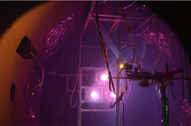 実験風景。中央の同型の3つの機器から紫のライトが発光されている。