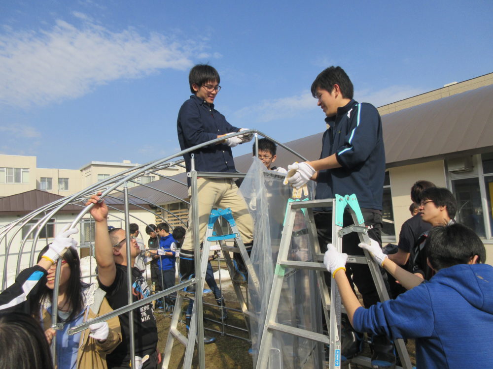 旭川高専の学科横断型授業「北海道ベースドラーニング」のワンカット。多くの学生が屋外に集まり、中央の3名が脚立に上り、ビニールハウスの骨組みにビニールをかけている様子。