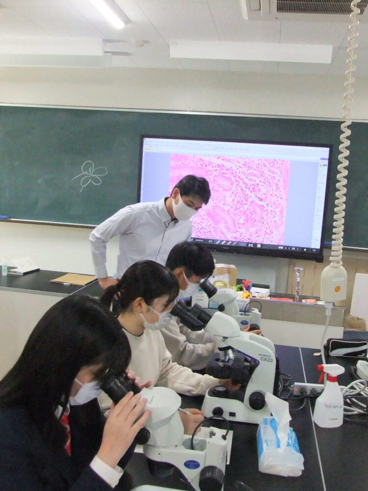 学生3名が熱心に顕微鏡をのぞいている。それをうしろでサポートをする前澤先生。