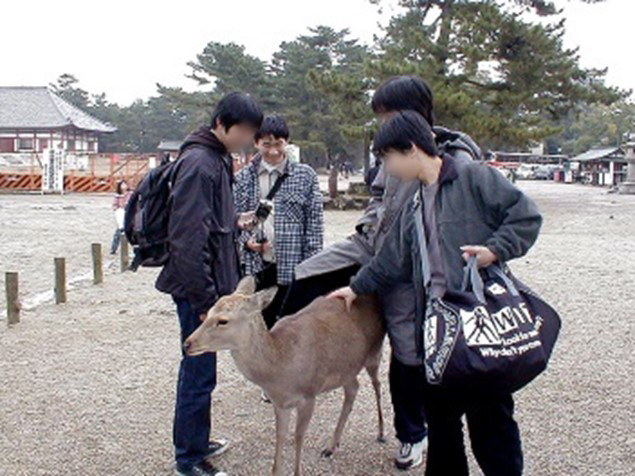 呉高専時代に奈良に友達と旅行に行った時の写真。