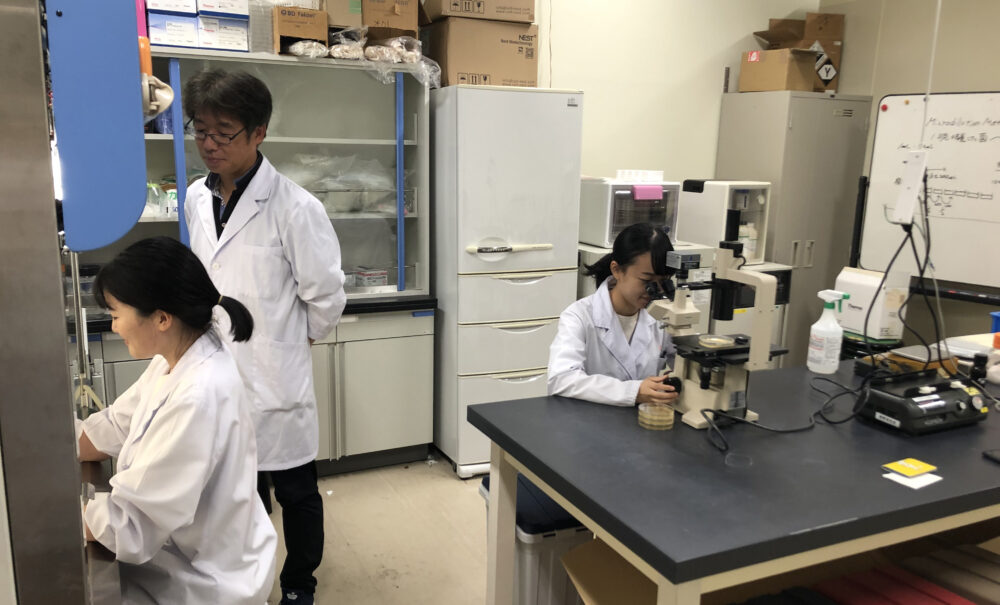 別の研究室で顕微鏡をのぞき込んだりする学生たち。見守る奥野先生