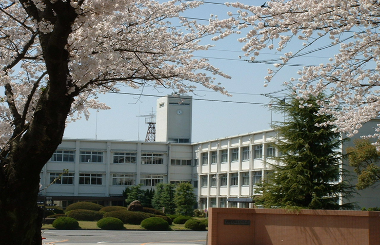 校門前の桜がきれいに咲き誇る背景に豊田高専の白い校舎が。