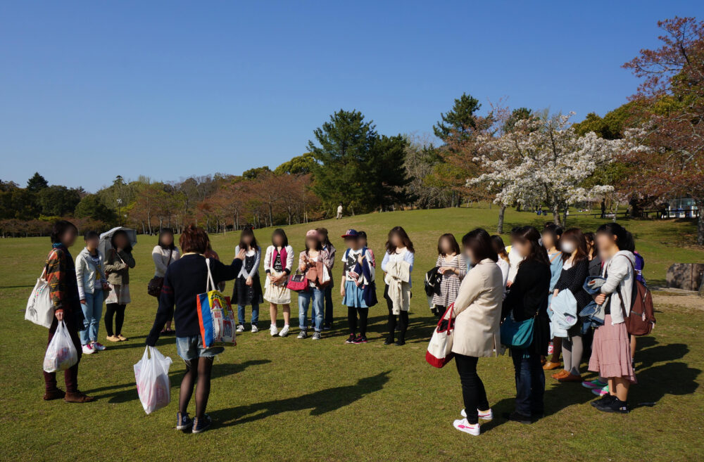 春、桜の木が1本満開で、周りには緑の葉を付けた木々。芝の広場で奈良女子大の新入生が円になっている