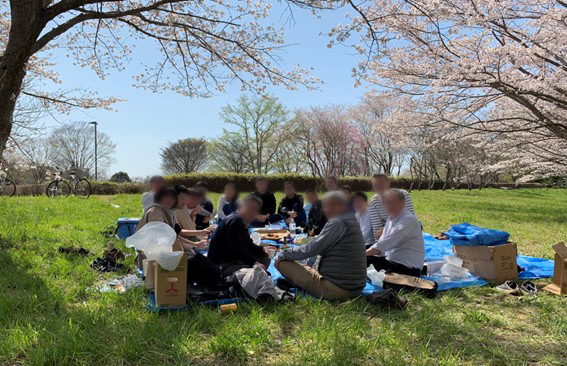 水色の青空に、緑色の芝、ブルーシートに円を描くように座る人々の頭上には、満開の薄ピンク色の桜が咲き誇っている