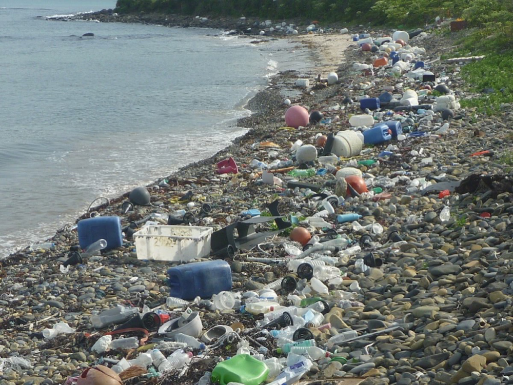 海岸に打ち上げられた、色とりどりの大量のプラスチックごみ。