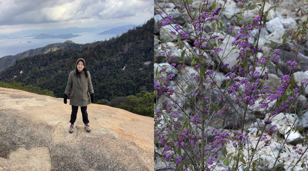 大きなベージュ色の岩の上に立つ大沼先生と、可憐で小さな紫色の花をいくつも咲かせた植物。