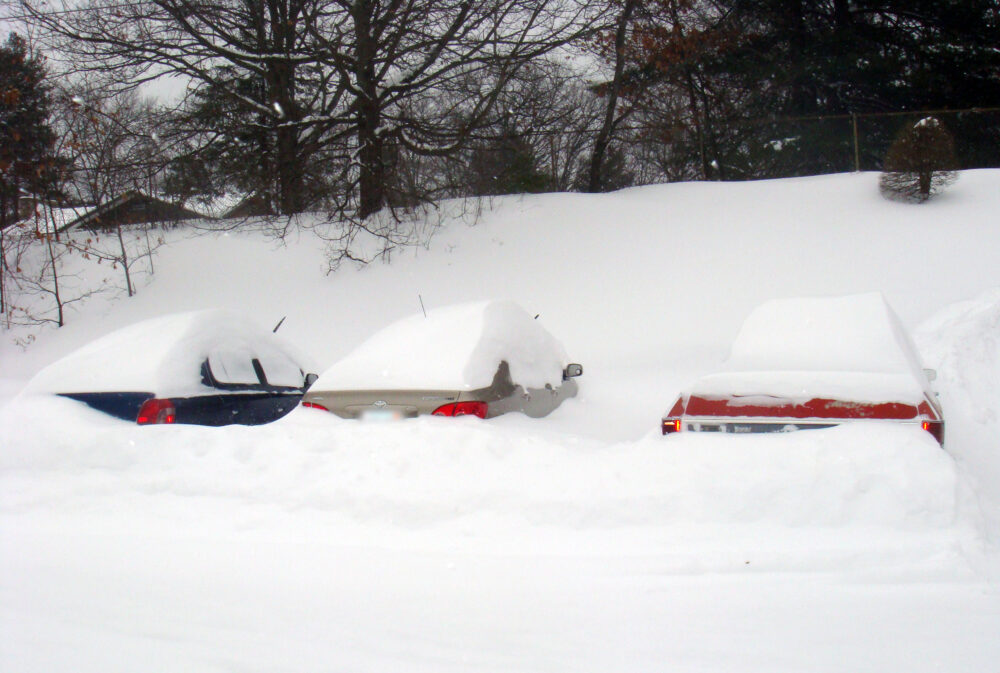 3台の車が雪に埋まった様子