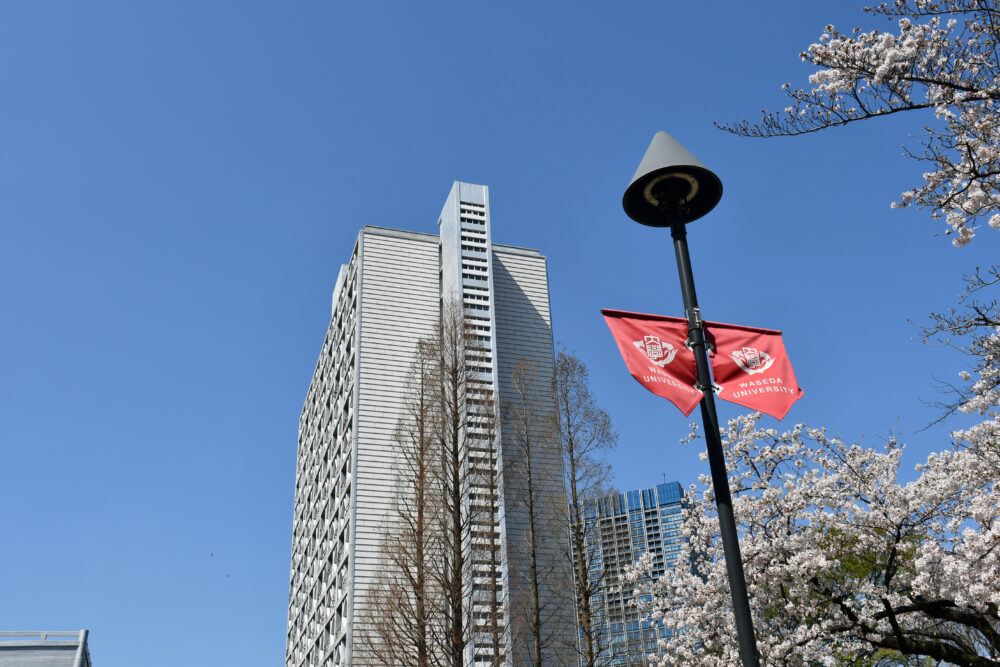 桜と早稲田大学