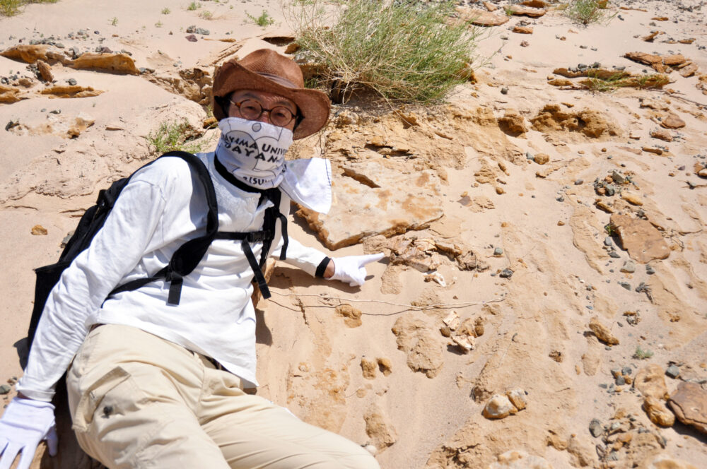 ゴビ砂漠でプロトケラトプスの化石を発見する衣笠先生