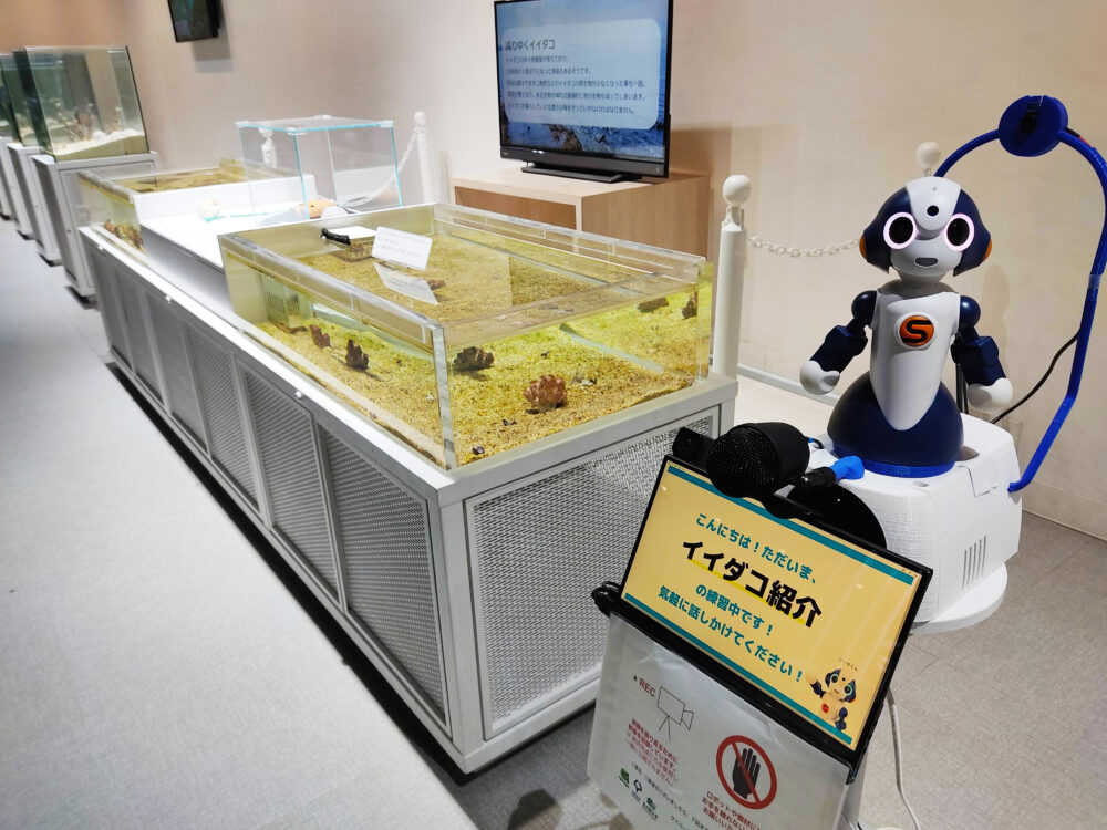 2023年2月、大阪のNIFREL（ニフレル）にて行った対話ロボットを用いた実証実験の様子