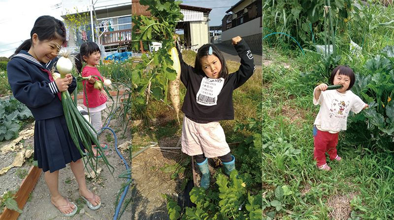 柳川先生のご家族が家庭菜園から収穫している様子
