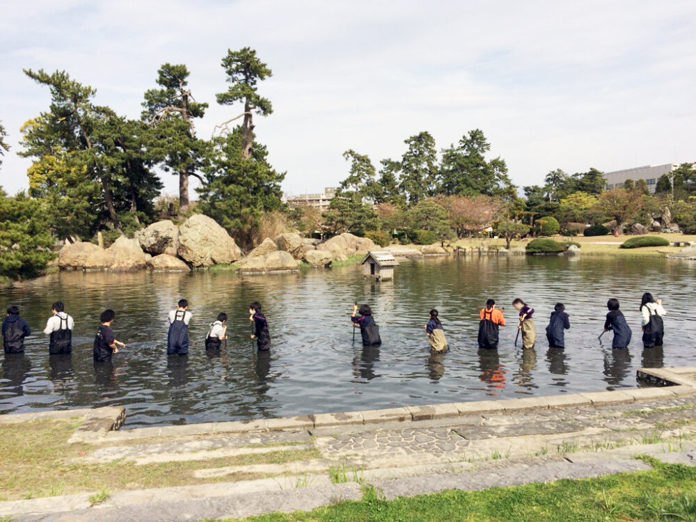 池の泥をかき混ぜる、学生や市民の皆さん