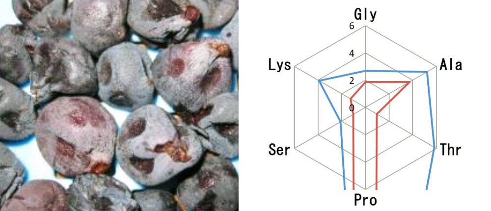 濃縮したブドウの写真と図解