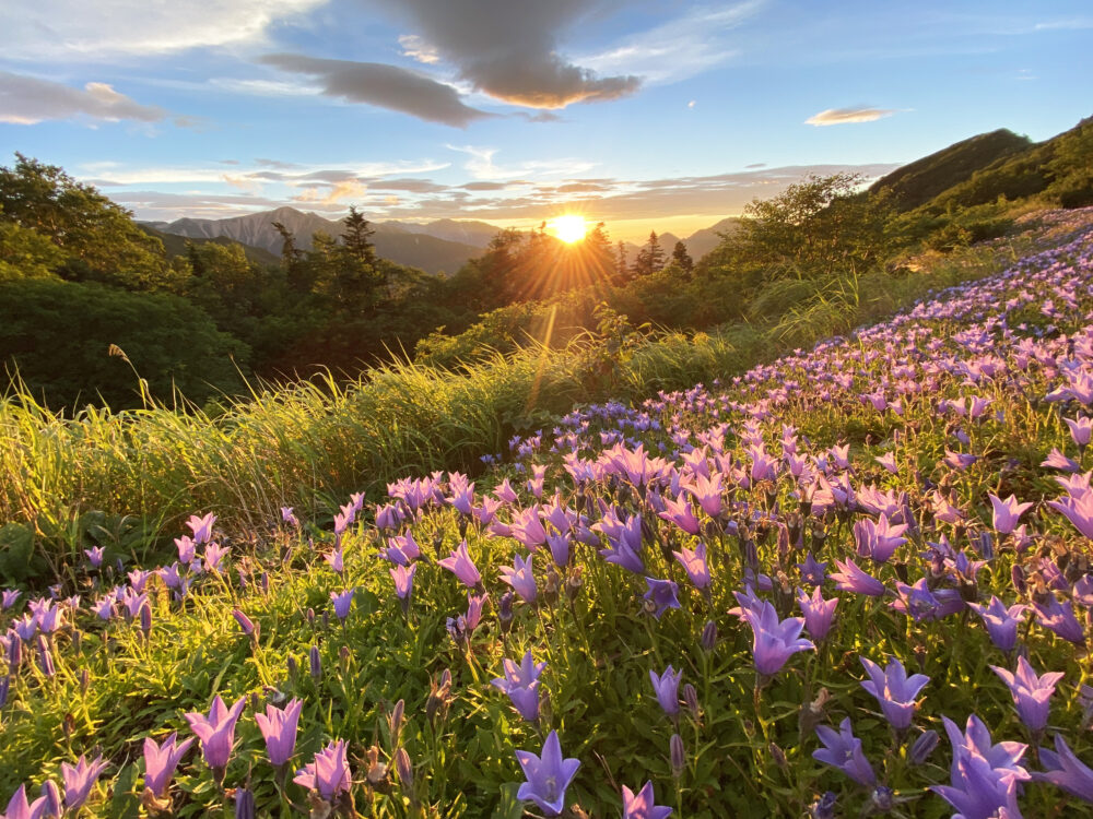 放射状に広がった逆光でオレンジがかっている美しい山景