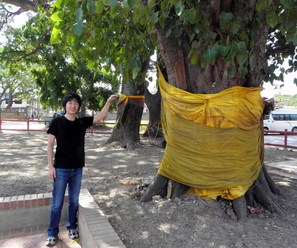 2011年にタイで大洪水が発生。写真はその後に現地へ訪れた、博士課程在学時の岩崎先生。手をかざしているところまで氾濫水が来ていたことを意味しています（木の幹の半分ほどの高さまで氾濫したようです。）