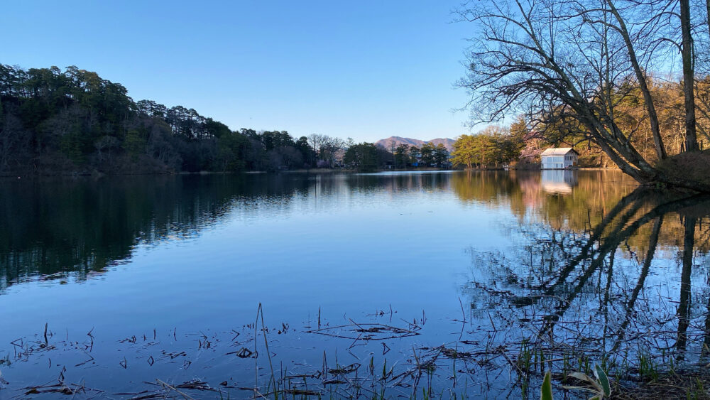 小海町にある松原湖の湖畔の風景