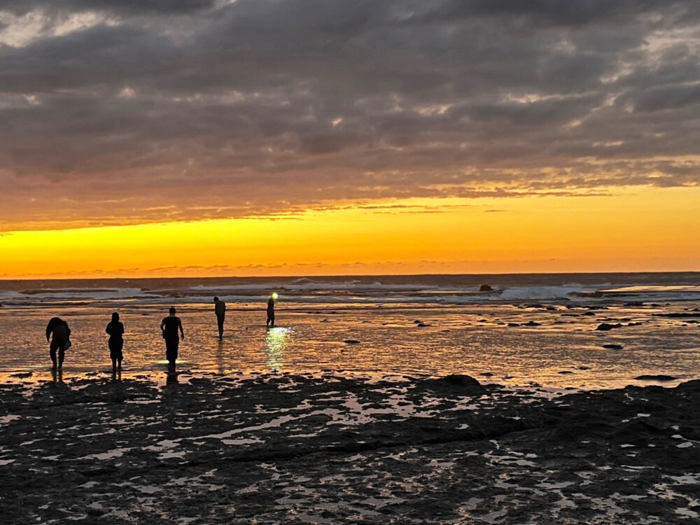 佐渡島にて、夕日が沈み切る前に遠浅の磯へ繰り出してヤドカリを探している様子