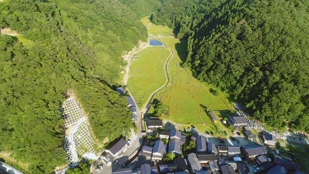 現在の研究対象地である耕作放棄水田