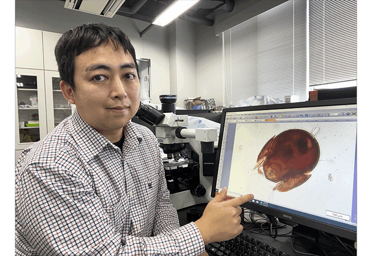 高専で出会った「ササラダニ」が生涯の研究テーマに！ 知られざるダニの奥深い世界のサムネイル画像