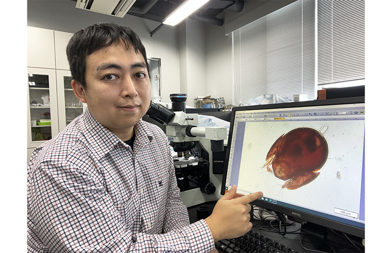 高専で出会った「ササラダニ」が生涯の研究テーマに！ 知られざるダニの奥深い世界のサムネイル画像
