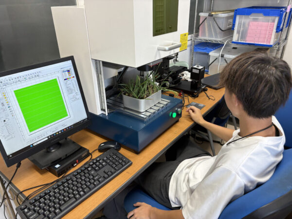 レーザー照射で雑草を枯らす実験のセッティングの様子