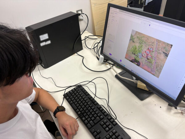 AI学習用画像のアノテーション(ラベル付け)作業の様子。PC上で、作物は紫の四角、雑草は赤の四角で囲む作業を行っています。
